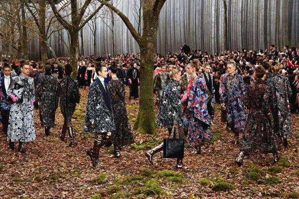 寵物守護(hù) 藍(lán)港《蜀山戰(zhàn)紀(jì)》手游新版本曝光