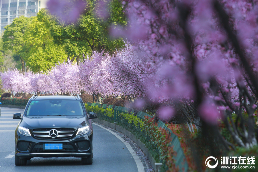 ?????????360С?????????????????